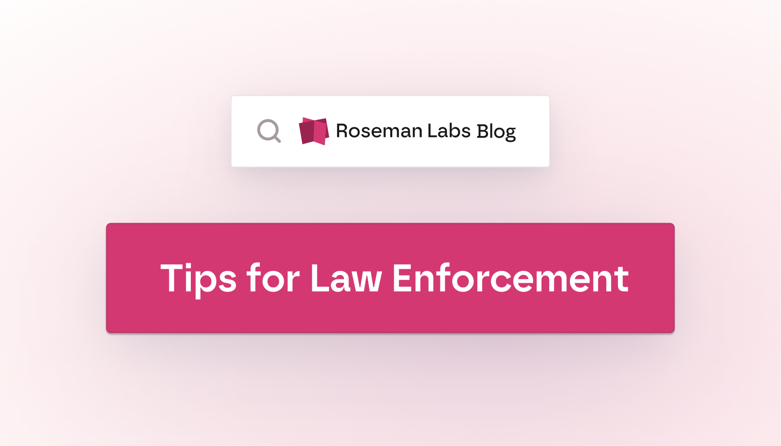 A Privacy Lens: Working Data-Driven in Law Enforcement