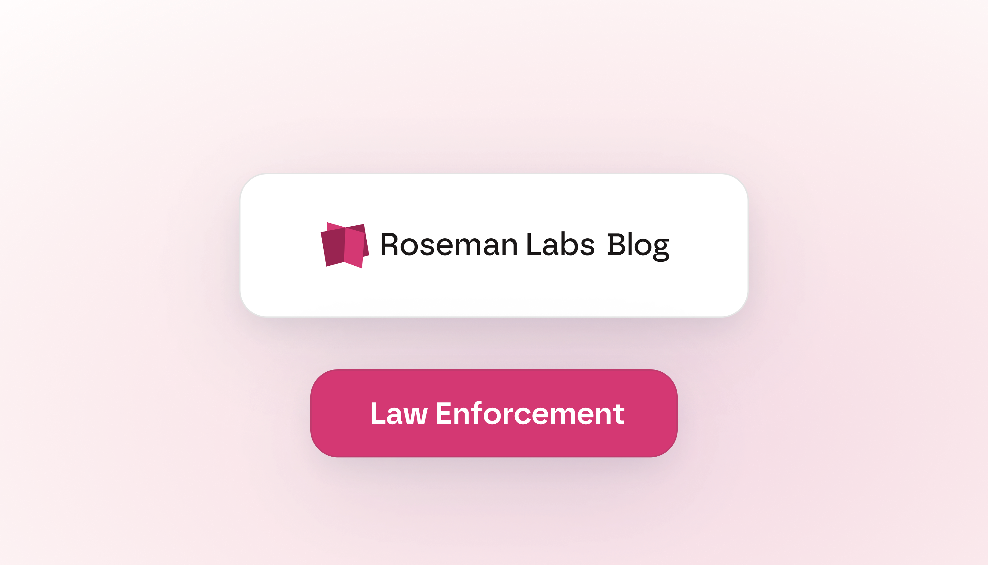 A Privacy Lens: Working Data-Driven in Law Enforcement